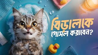 কিভাবে আপনার বিড়ালকে গোসল করাবেন? | How to get your cat bathed?