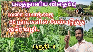 மண் வளத்தை 60 நாட்களில் மேம்படுத்த ஒரே வழி  பலத்தானிய விதைப்பு செய்வோம்...