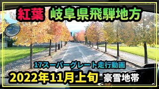 豪雪地帯飛騨地方白川郷の紅葉は…？【17スーパーグレート走行動画】