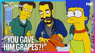 How The Vet Saved Santa’s Little Helper (Ft. Noah Wyle, Taylor Dearden, & MORE! | The Simpsons