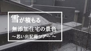 【思い出記録】雪が積もる景色が見える無添加住宅の暮らし／オノブンの家／雪景色