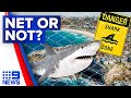 'It's unacceptable': Push to scrap shark nets from Australia's most famous beach | 9 News Australia