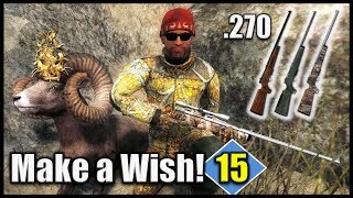 .270 vs. Gold Winning Bighorn Sheep (Make a Wish 15) - theHunter Classic