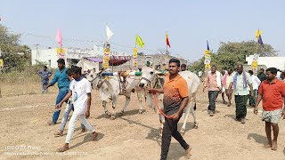 మోర్జంపాడు గ్రామంలో 2 పళ్ల విభాగం 2వ జత భోమ్మ.అల్లయ్య గారు కారంపూడి గ్రామం కారంపూడి మండలం పల్నాడు