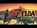 Legend of Zelda : Donkey Breath