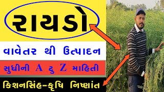 ઓછા ખર્ચે વધુ નફાકારક રાયડો ( રાઈ ) ની ખેતી | Rayda ni kheti | Mustard Farming