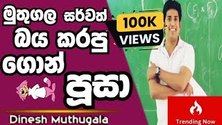 මුතුගල සර් 🆅🆂 පිස්සු පූසා | කවුරු දිනයිද | මුතුගල සර්වත් confused කරපු ඒ පූසා කවුද ? | 😁😁