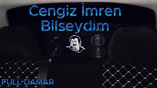 Cengiz İmren-Bilseydim