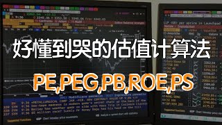 投资必修课-股票常用估值模型分析|如何判断股价是否合理？ #PE市盈率#PB市净率#PS市销率#PEG#ROE