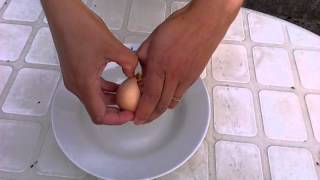 Huevo de 3 yemas