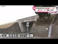 【驚き】鹿が高速道路を疾走 みごとなジャンプで…