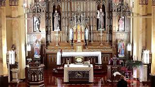 OLC /ST. CASIMIR BROOKLYN, NY Live Stream