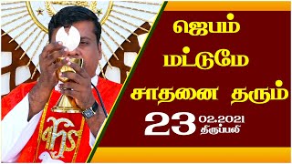 ஜெபம் மட்டுமே சாதனை தரும் |  திருப்பலி | 23.02.2021| Fr. Albert | KC Trichy