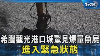 希臘觀光港口城驚見爆量魚屍 進入緊急狀態｜TVBS新聞 @TVBSNEWS02