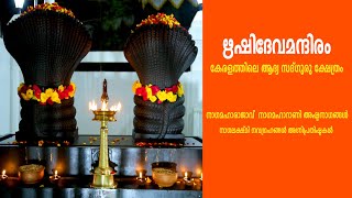 ഋഷിദേവമന്ദിരം| RISHIDEVA MANDIRAM | Sadguru Rishidev Sri Naredran Ji