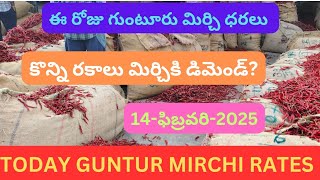 #14-02-25 TODAY GUNTUR MIRCHI PRICE ఈరోజు గుంటూరు మిర్చి ధరలు #subscribe #chilli #trending