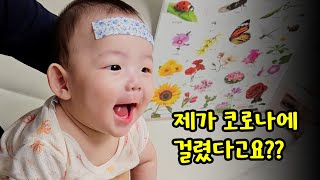 [SUB] 생후 6개월 첫 시련이 코로나라니!! 😢 (feat.해열제 복용법)