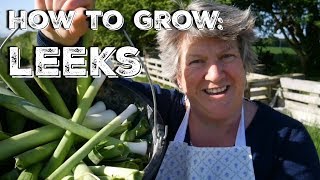 How to grow LEEKS