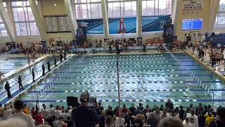 Bjorn Seeliger (cal) 50 yard backstroke world record (20.08) 2022 NCAA swimming and diving