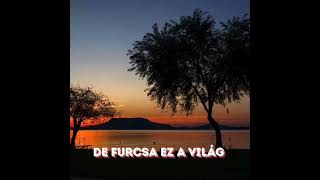 Burai Csaba - De furcsa ez a világ