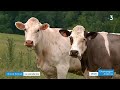 grand format. l agriculture bio de plus en plus présente dans les ardennes