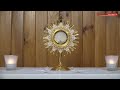 adoración al santísimo en vivo live adoration of the blessed sacrament.