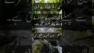 Hadees e Pak | Hadees Sharif | Hadees e Nabvi ﷺ | Prophet Muhammad SAW | Hadees Mubarak | Deen Islam