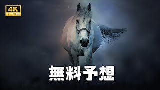 2023年10月9日月曜日無料予想　 またまた１１番人気の推奨馬激走の２着！月曜日もご注目くださいませ！！