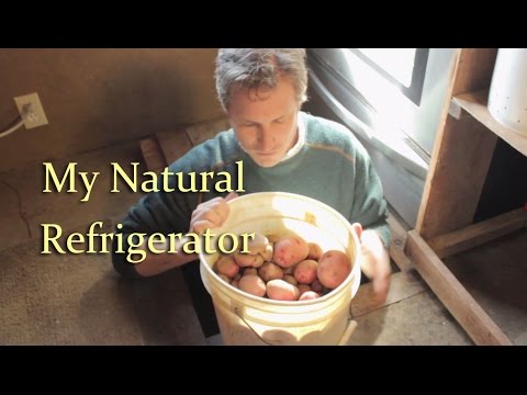 Natural Refrigerator: The Root Cellar in My Floor Natural Refrigerator: The Root Cellar in My Floor