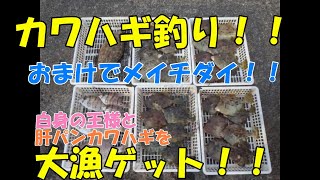 肝パンカワハギ釣りと白身の王様メイチダイを釣る#三重県#尾鷲#ダイワ#エヌティクマリン