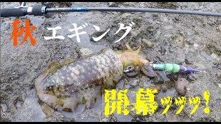 [能登]秘境みたいなとこでエギングしてきた