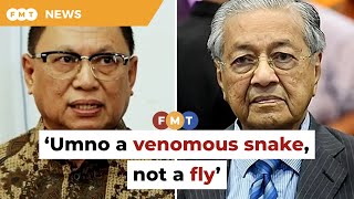 Umno a venomous snake, not a fly, says Puad