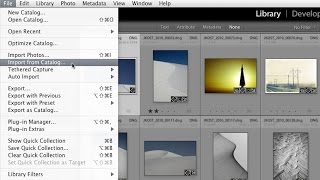 Merging Individual Lightroom Catalogs into a “Master” Catalog