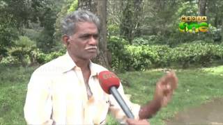 Workers exploited by Nelliyampathi estate owners