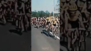 the horse joins the cyclists