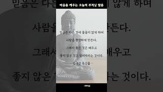 마음을 깨우는 오늘의 부처님 말씀. 불기 2567년 2월 6일. 법구경 독신품