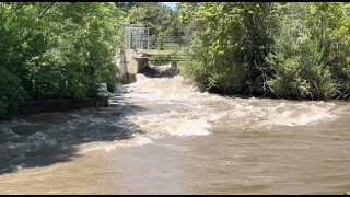 Residents near Logan River 'cautiously optimistic' about homes staying dry