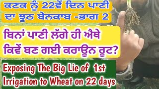 ਕਣਕ ਨੂੰ 22ਵੇਂ ਦਿਨ ਪਹਿਲੇ ਪਾਣੀ ਦਾ ਝੂਠ ਬੇਨਕਾਬ-ਭਾਗ 2 || ਬਿਨਾਂ ਪਾਣੀ ਲੱਗੇ ਇਥੇ ਕਿਵੇਂ ਬਣ ਗਈ ਕਰਾਊਨ ਰੂਟ?