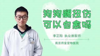 狗狗腿扭傷可以自愈嗎