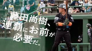 藤田尚樹、連覇にお前が必要だ。