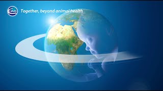 Together, beyond animal health