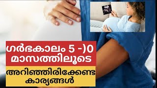 പ്രെഗ്നൻസിയിലെ അഞ്ചാമത്തെ മാസം ഗർഭിണികൾ അറിഞ്ഞിരിക്കുക / 5 month pregnancy malayalam