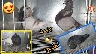 جبت خينيسي نتاع الطيران😍 مع لمليح في السيفيانوس و النفاخ💫 ( الثمن مع فيصل ديما في الفيديو)