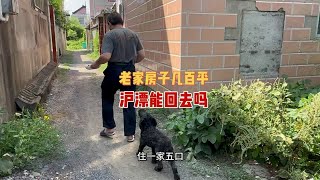 上海房子69一家五口 老家房子几百平空无一人  可是沪漂能回去吗