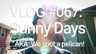 VLOG #067: Sunny Days