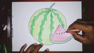 Cara menggambar dan mewarnai buah semangka yang mudah dengan hasil yang bagus