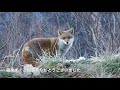 温泉巡り旅 乗鞍温泉〜奥飛騨温泉