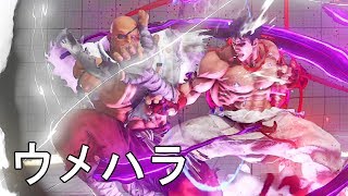 ウメハラ影の虎狩り 対ガチくんサガット 2先　Daigo Umehara(Kage) VS Gachikun(Sagat) FT2