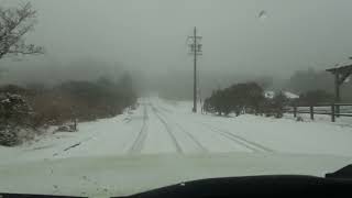 巣から発進、雪の青山高原。