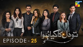 Tou Dil Ka Kia Hua - Episode 25 - [HD] - { Ayeza Khan - Sami Khan - Zahid Ahmed } - HUM TV Drama